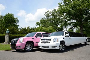 white and pink limos